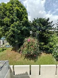 Wolskel Road (D13), Semi-Detached #581138411